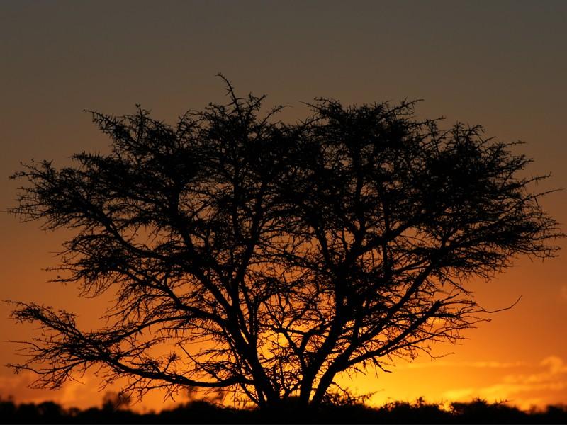 Safari Lodge- Amakhala Game Reserve Exterior photo